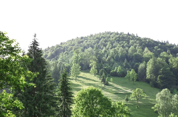 Bellissime montagne Paesaggio — Foto Stock