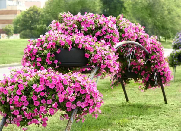 Bågen görs av blomsterrabatter — Stockfoto