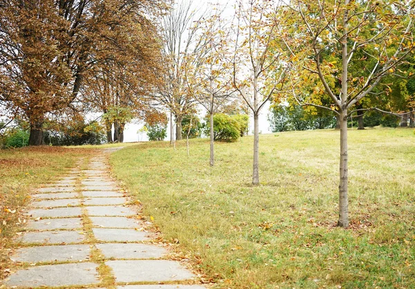 Dlouhá Cesta Podzim Park — Stock fotografie