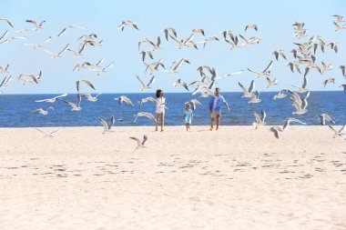 Anne ile kızı deniz kıyısında yürüyüş. Gelen kum süzülen Kuşlar sürüsü
