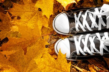 İnsan spor ayakkabı ayaklarda