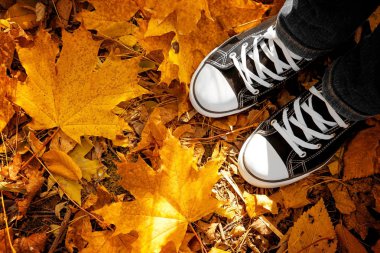 İnsan spor ayakkabı ayaklarda