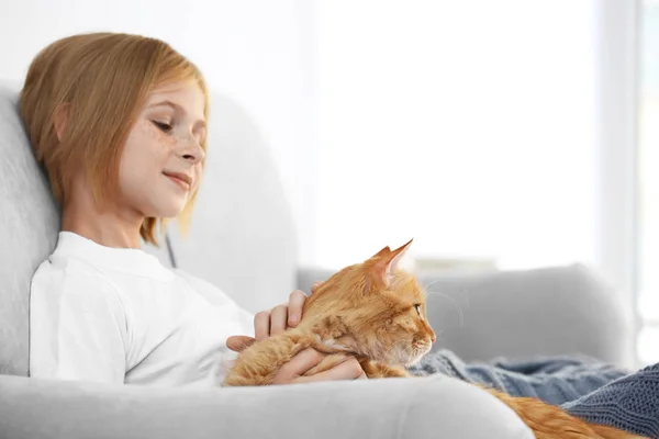 Meisje met rode pluizig kat — Stockfoto