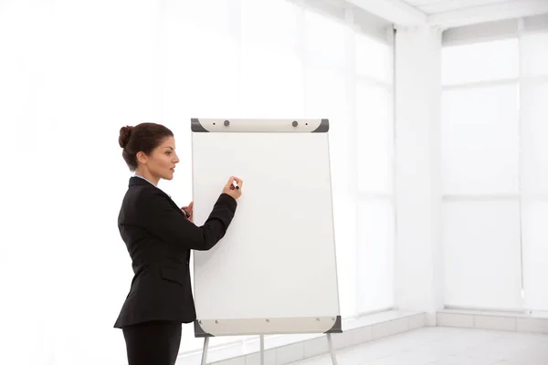 Business trainer giving presentation — Stock Photo, Image