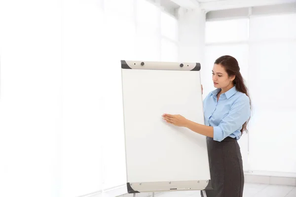 Business trainer giving presentation — Stock Photo, Image