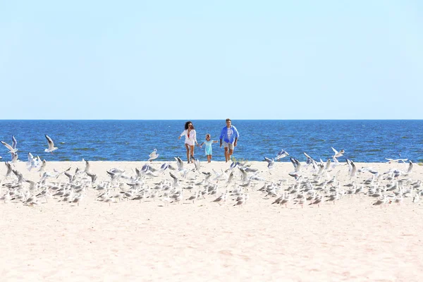 Eltern Mit Tochter Ufer Des Meeres Vogelschwarm Steigt Aus Dem — Stockfoto