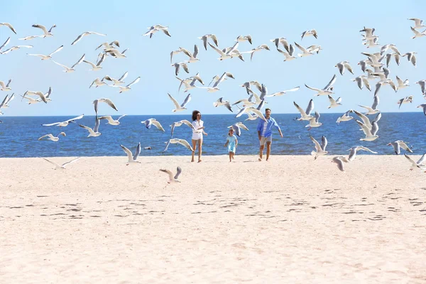 Ouders Met Dochter Lopen Zee Zwerm Vogels Stijgende Uit Zand — Stockfoto