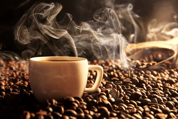 Grains de café avec tasse — Photo