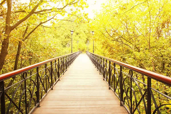 Vacker höst park — Stockfoto