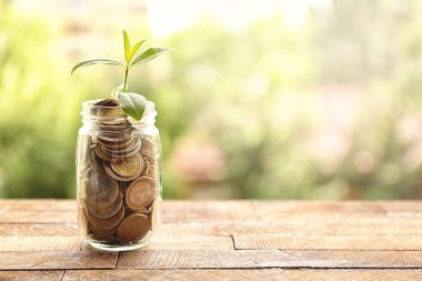 Jetonlu kavanoza büyüyen bitki 