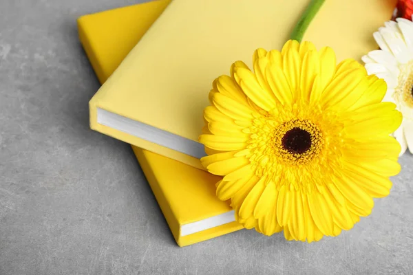 Libros amarillos y flor gerbera —  Fotos de Stock