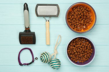 Evde beslenen hayvan Aksesuar düz yatıyordu