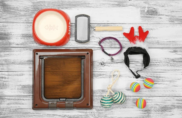 Pet accessories flat lay — Stock Photo, Image