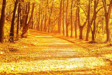 Güzel park görünümünü 