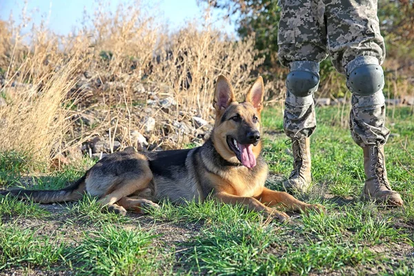 Soldado com cão pastor alemão — Fotografia de Stock