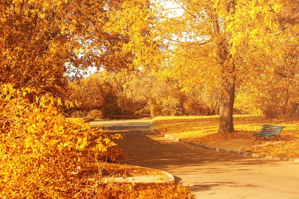 Schöner Herbstpark — Stockfoto