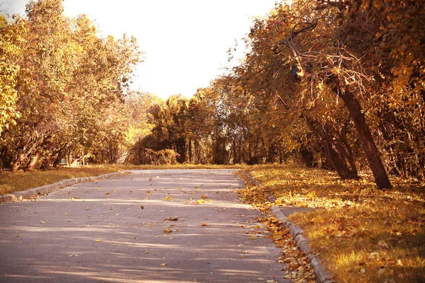 Widok na piękny park — Zdjęcie stockowe