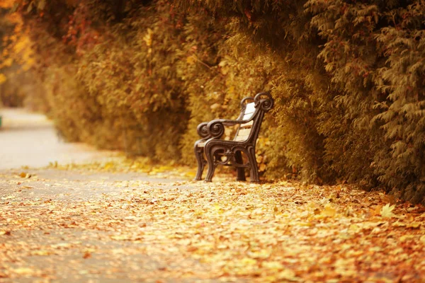 Винтажная скамейка в парке — стоковое фото