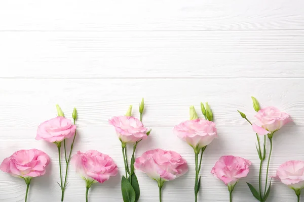 Fresh pink flowers frame — Stock Photo, Image