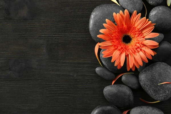 Спа камені з квіткою — стокове фото