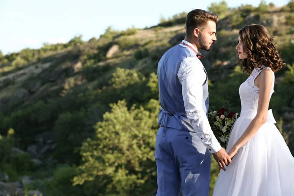 Novia y novio felices — Foto de Stock