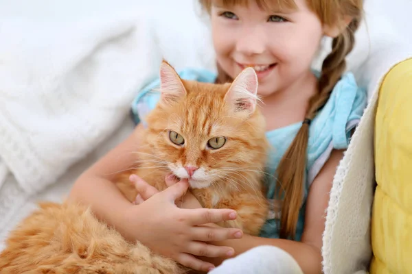 Niedliches kleines Mädchen und rote Katze — Stockfoto