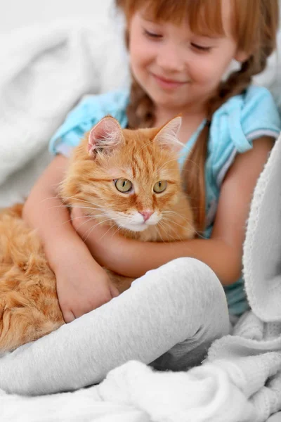 Menina bonito e gato vermelho — Fotografia de Stock