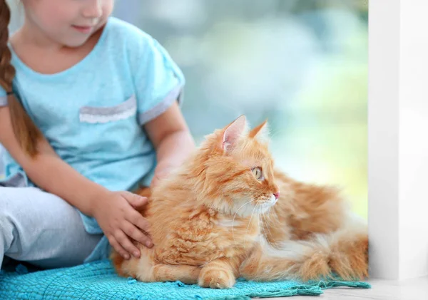 Милая маленькая девочка и красная кошка — стоковое фото