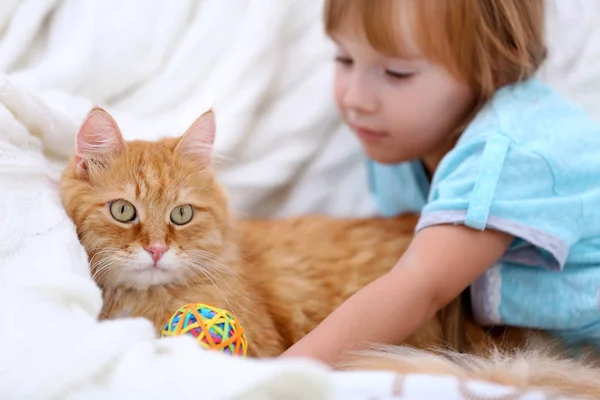 Sevimli küçük kız ve kırmızı kedi — Stok fotoğraf