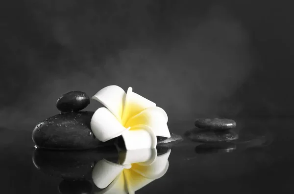 아름 다운 꽃과 스파 돌 — 스톡 사진