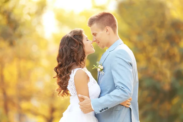 Beautiful wedding couple — Stock Photo, Image