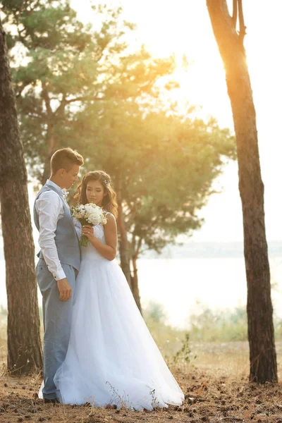 Schönes Hochzeitspaar — Stockfoto