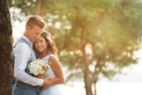 Hermosa pareja de boda —  Fotos de Stock