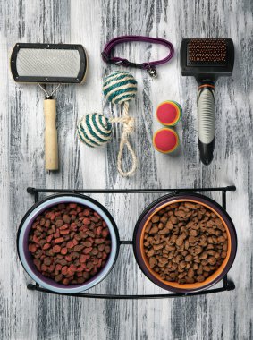 Kedi bakım için aksesuarlar