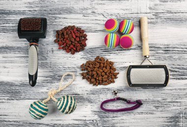 Kedi bakım için aksesuarlar