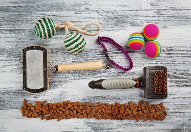 Kedi bakım için aksesuarlar