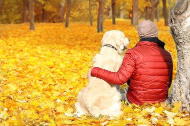 Adam köpeğiyle ağacın altında oturup