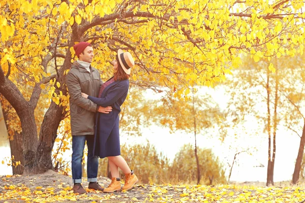 Pareja en el parque de otoño —  Fotos de Stock