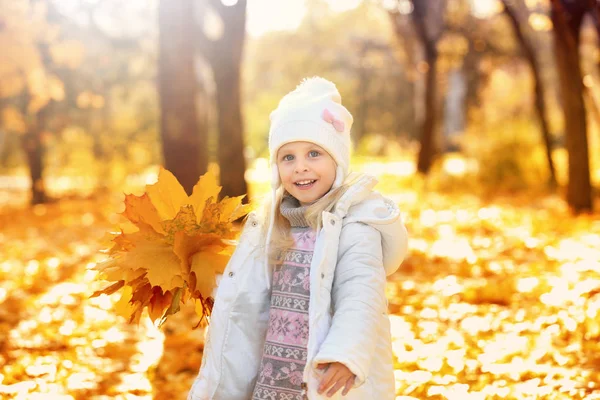 Cute little girl in autumn park — Stock Photo, Image