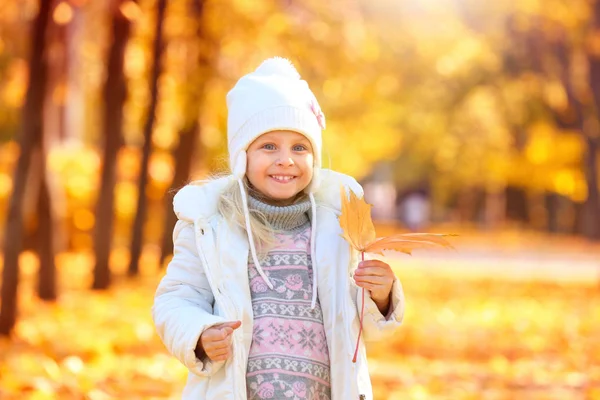 Schattig klein meisje in het najaar park — Stockfoto