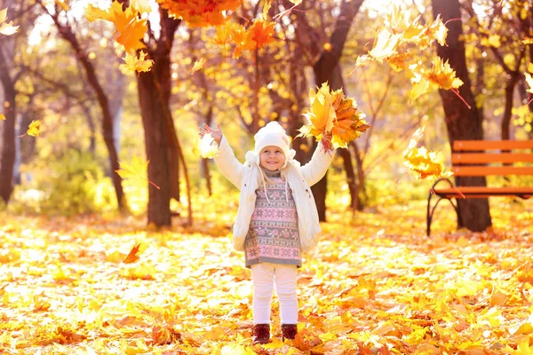 Cute little girl w jesiennym parku — Zdjęcie stockowe