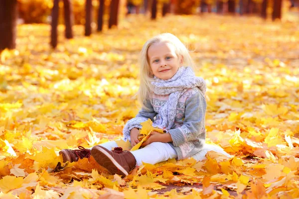 Menina bonito no parque de outono — Fotografia de Stock