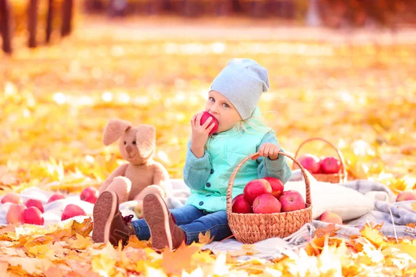 Linda niña en el parque de otoño — Foto de Stock