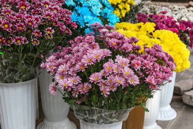 Ekranda taze çiçekler