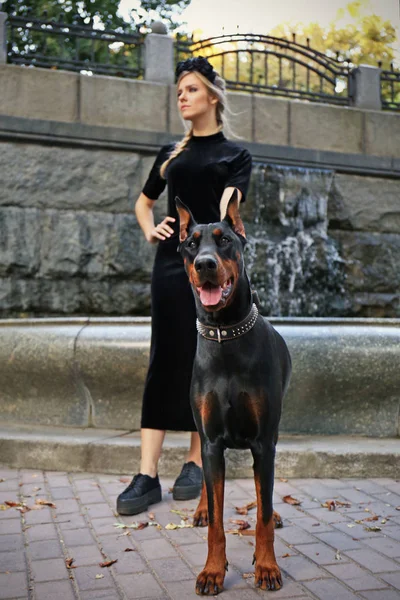Γυναίκα και το σκυλί κοντά σε σιντριβάνι — Φωτογραφία Αρχείου