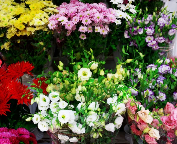 Flores frescas en exhibición — Foto de Stock