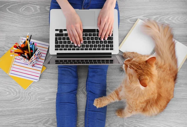 笔记本电脑和猫的女人 — 图库照片