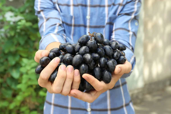 hands with bunch of grapes