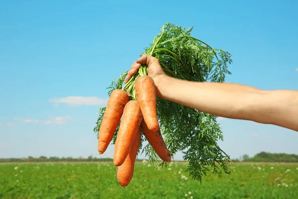 Людина холдингу морква — стокове фото