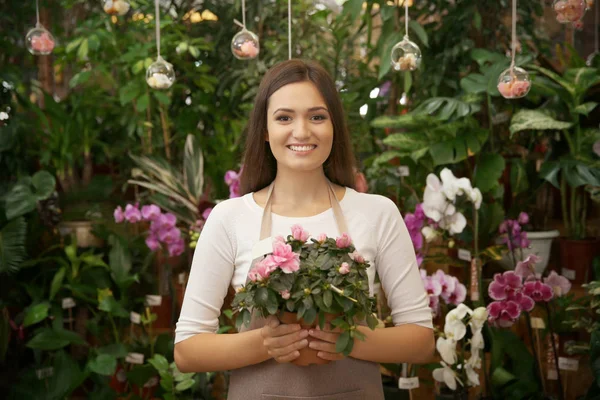 Bonita jovem florista — Fotografia de Stock